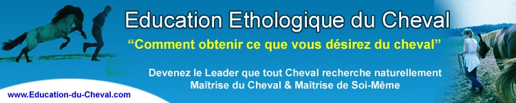 �ducation du cheval