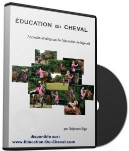 Education du cheval avec Stéphane Bigo et Bernard Lamonnier