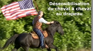 Désensibilisation du cheval à cheval au drapeau