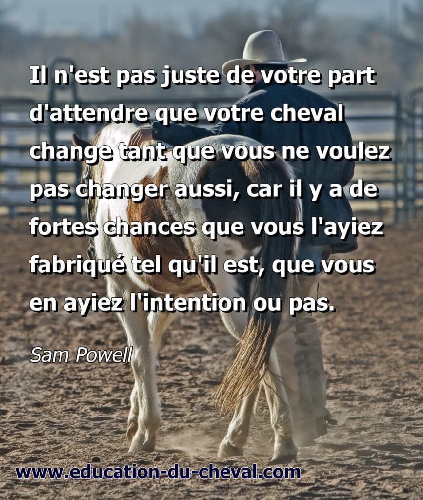 Comment développer la relation de complicité avec le cheval, retrouver du plaisir et du mieux-être