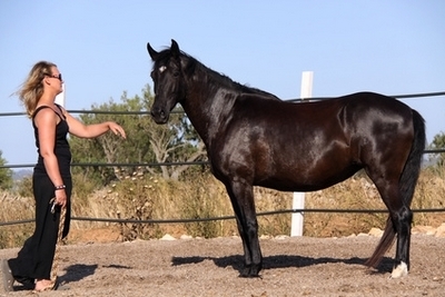 Relation Homme-Cheval et développement personnel