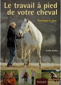 Le travail à pied de votre cheval