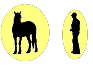 Bulle humaine et bulle cheval