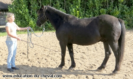 Education du cheval - Temoignage de Maria