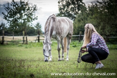 Equitation éthologique