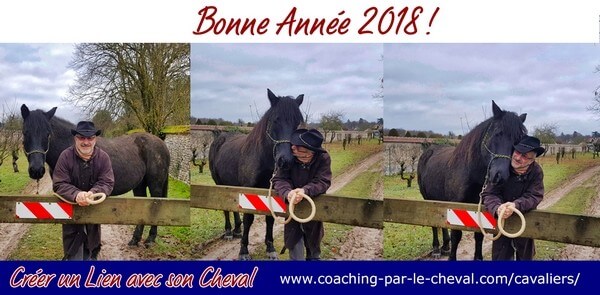 Comment créer un lien avec son cheval