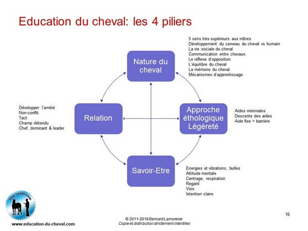 Education du cheval - Les 4 piliers - Bernard Lamonnier